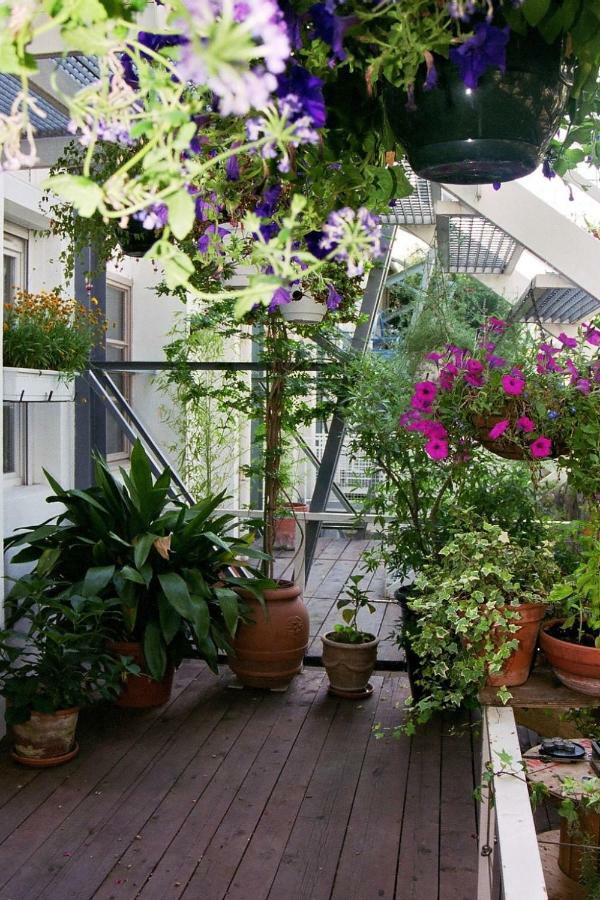 Loft De Cannes B&B المظهر الخارجي الصورة
